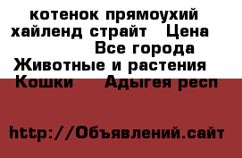 котенок прямоухий  хайленд страйт › Цена ­ 10 000 - Все города Животные и растения » Кошки   . Адыгея респ.